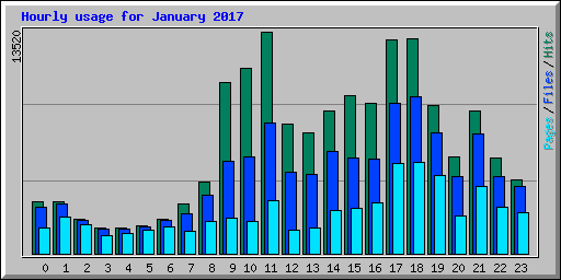 Hourly usage for January 2017