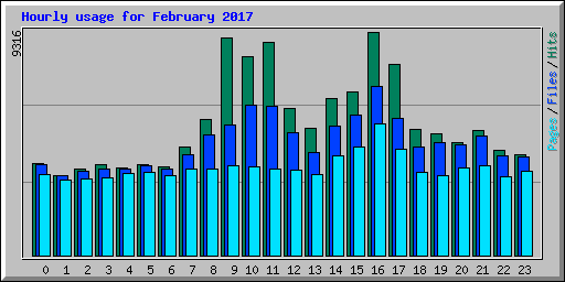 Hourly usage for February 2017