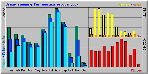 Usage summary for www.miraesusan.com